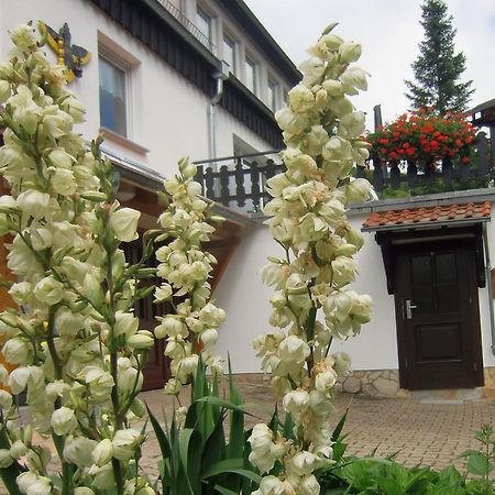 Ferienhaus Haus Am Wald Stolberg  Zewnętrze zdjęcie