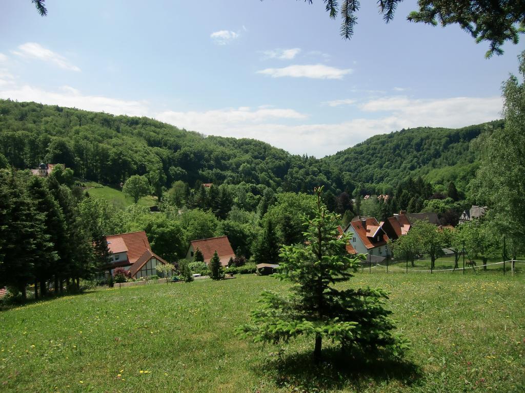 Ferienhaus Haus Am Wald Stolberg  Zewnętrze zdjęcie