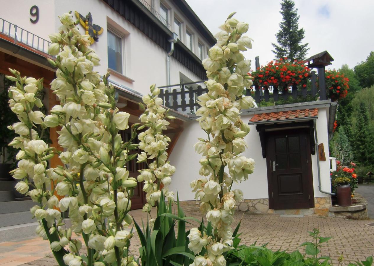 Ferienhaus Haus Am Wald Stolberg  Zewnętrze zdjęcie